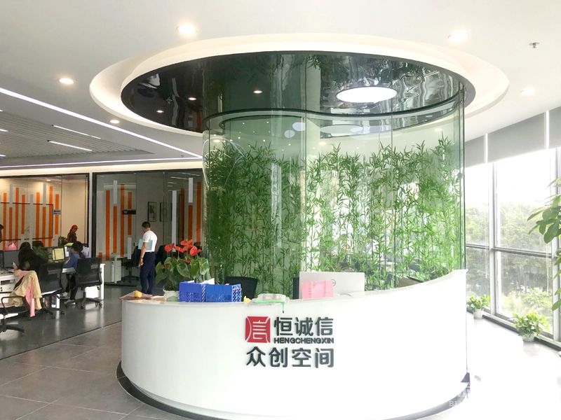 前台-实拍-哈密瓜视频装修